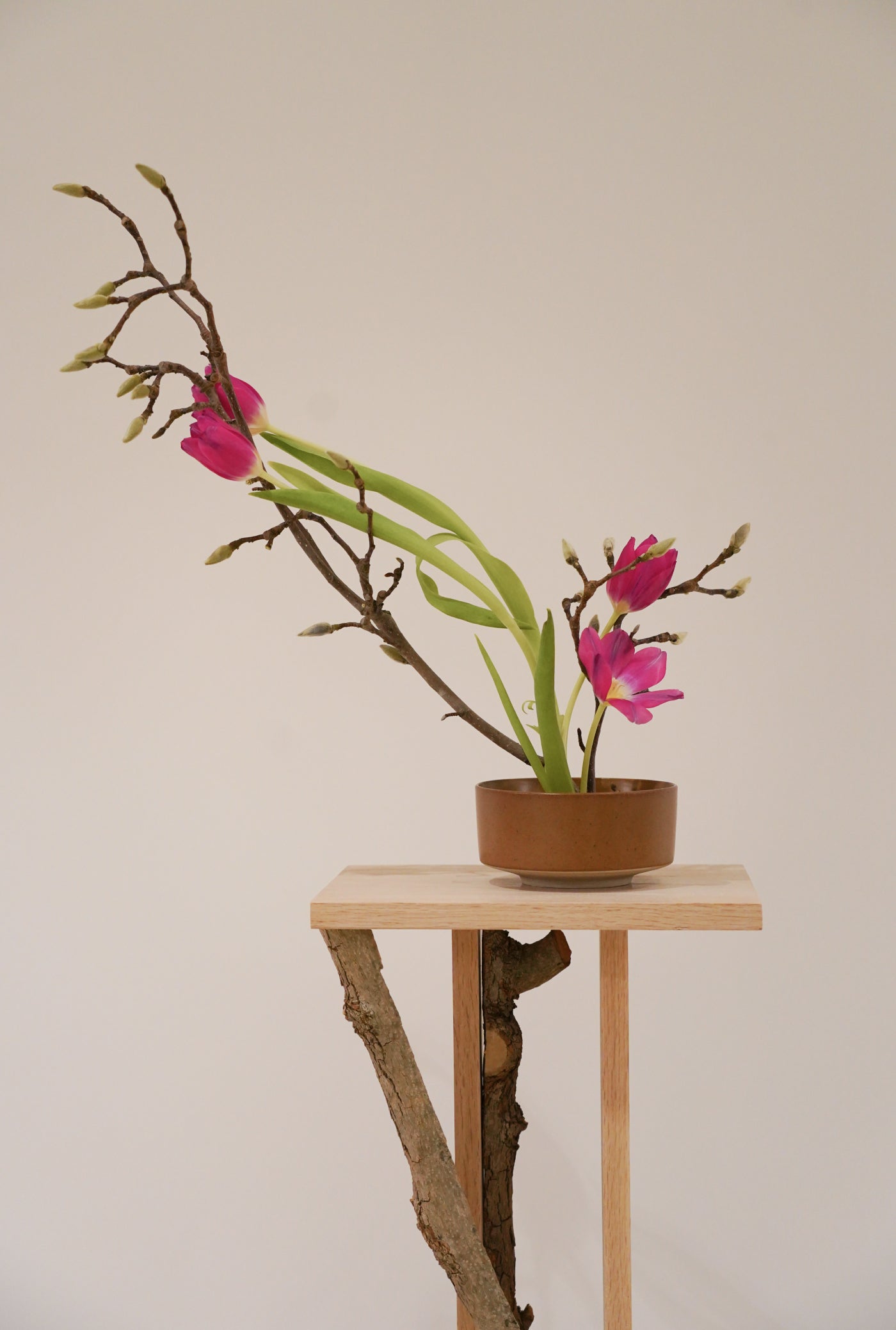 The Art of Ikebana