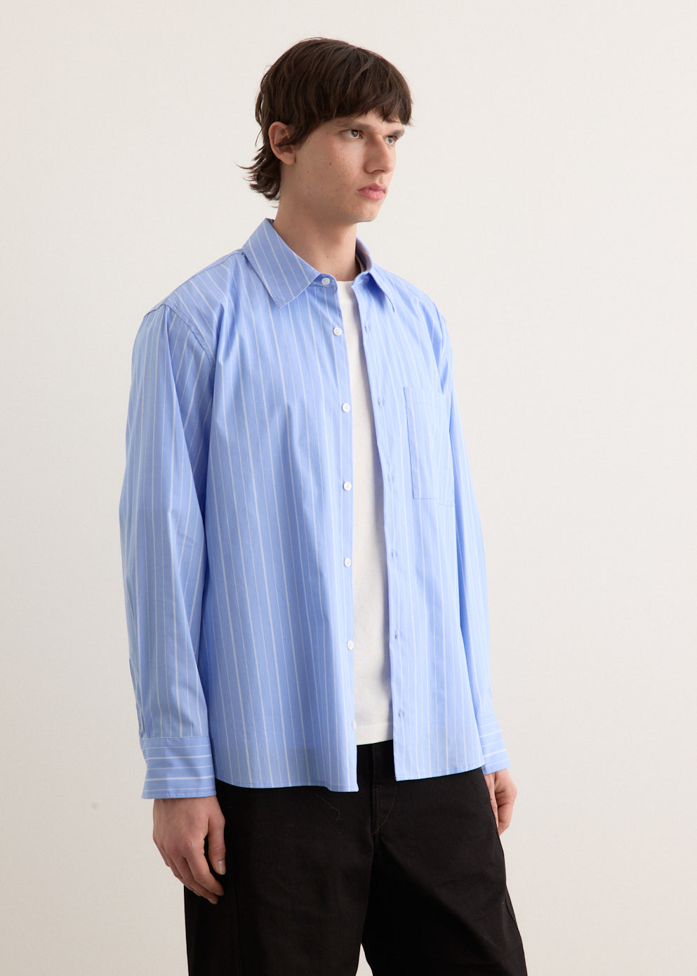 Haze Relaxed Stripe Shirt